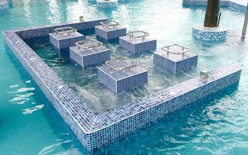 糖心养生攻略博客